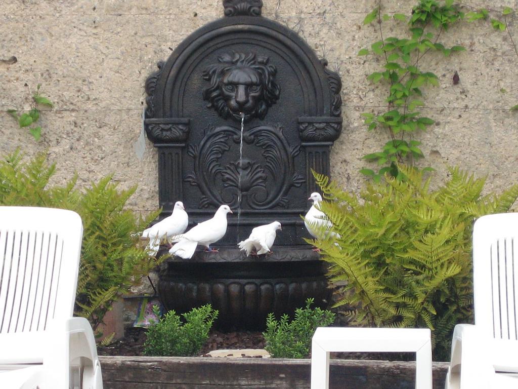 Chateau Du Golf De La Freslonniere Le Rheu Bagian luar foto